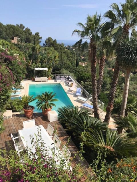 Villa Hirondelles 35 Cavalaire-sur-Mer Exterior foto